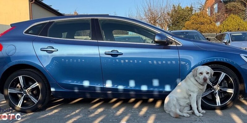 VOLVO V40  | FWD (przód) | Manualna | 150 KM | Niebieski full