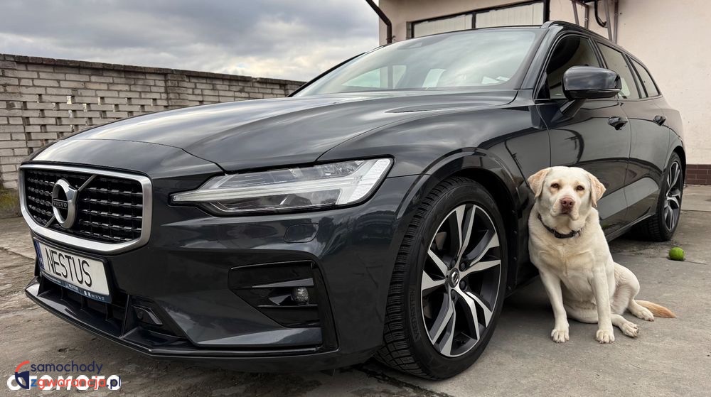 Volvo V60  | Fwd (Przód) | Automatyczna | 190 Km | Szary