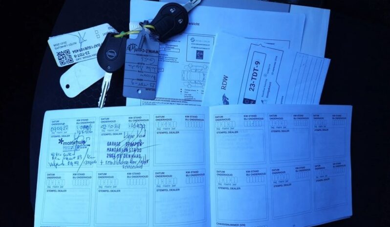 NISSAN Juke  | FWD (przód) | Manualna | 117 KM | Szary full