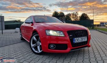 Audi S5  | 4X4 (Stały) | Automatyczna | 333 Km | Czerwony