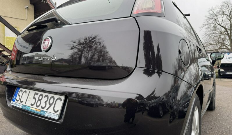FIAT Punto  | FWD (przód) | Manualna | 70 KM | Czarny full