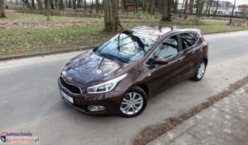 Kia Ceed  | Fwd (Przód) | Manualna | 135 Km | Brązowy