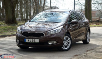 KIA Ceed  | FWD (przód) | Manualna | 135 KM | Brązowy full