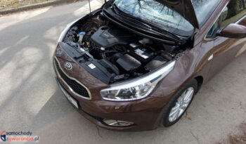 KIA Ceed  | FWD (przód) | Manualna | 135 KM | Brązowy full