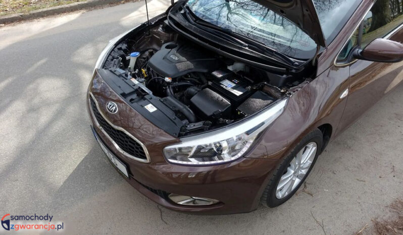 KIA Ceed  | FWD (przód) | Manualna | 135 KM | Brązowy full