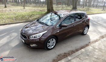 KIA Ceed  | FWD (przód) | Manualna | 135 KM | Brązowy full