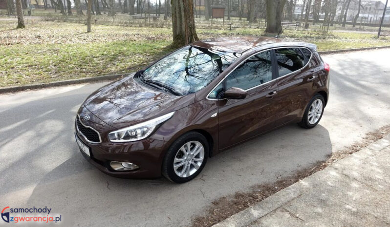KIA Ceed  | FWD (przód) | Manualna | 135 KM | Brązowy full