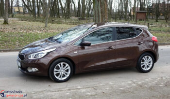 KIA Ceed  | FWD (przód) | Manualna | 135 KM | Brązowy full