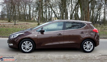 KIA Ceed  | FWD (przód) | Manualna | 135 KM | Brązowy full