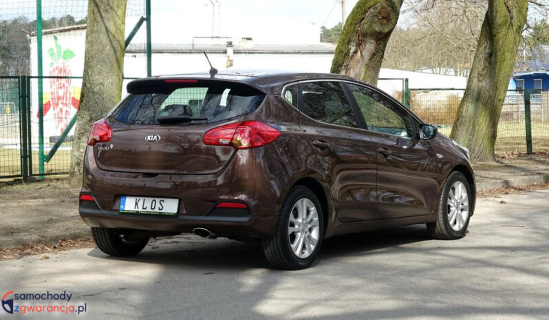 KIA Ceed  | FWD (przód) | Manualna | 135 KM | Brązowy full