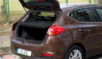 KIA Ceed  | FWD (przód) | Manualna | 135 KM | Brązowy full