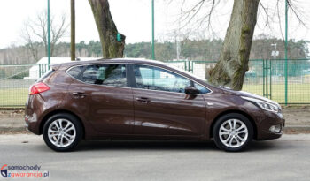 KIA Ceed  | FWD (przód) | Manualna | 135 KM | Brązowy full