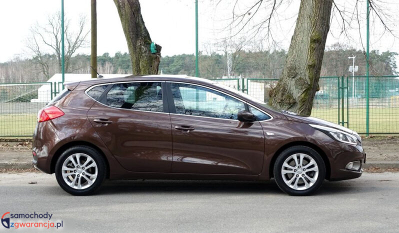 KIA Ceed  | FWD (przód) | Manualna | 135 KM | Brązowy full