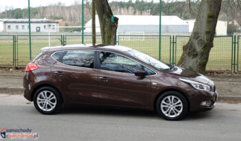 KIA Ceed  | FWD (przód) | Manualna | 135 KM | Brązowy full