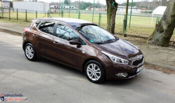 KIA Ceed  | FWD (przód) | Manualna | 135 KM | Brązowy full