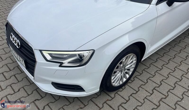 AUDI A3  | FWD (przód) | Automatyczna | 110 KM | Biały full
