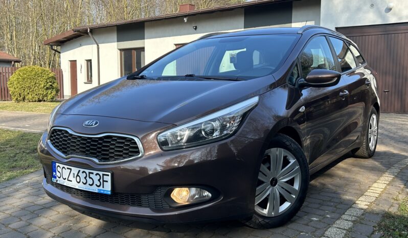KIA Ceed  | przedni | Manualna | 135 KM | Brązowy full
