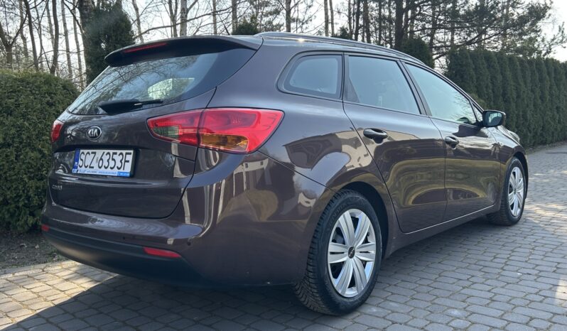 KIA Ceed  | przedni | Manualna | 135 KM | Brązowy full