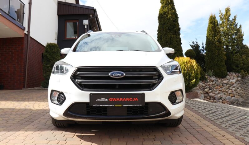 FORD Kuga  | 2019 | 180 KM | 1997cm3 | Biały full