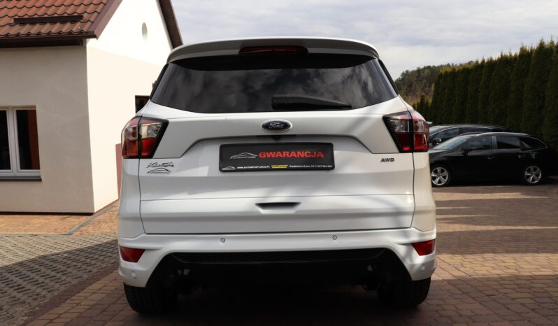 FORD Kuga  | 2019 | 180 KM | 1997cm3 | Biały full