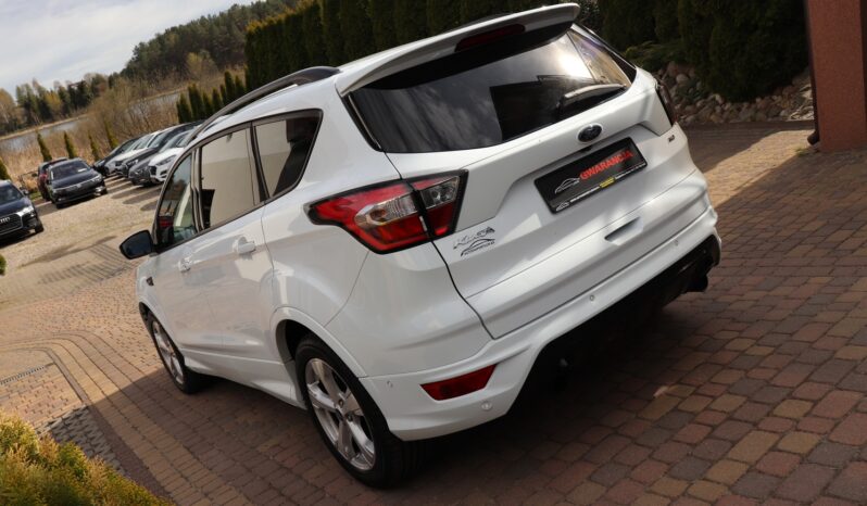 FORD Kuga  | 2019 | 180 KM | 1997cm3 | Biały full