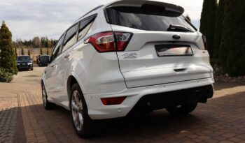 FORD Kuga  | 2019 | 180 KM | 1997cm3 | Biały full