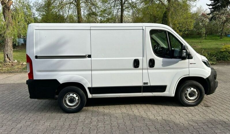 FIAT Ducato  | FWD (przód) | Manualna | 120 KM | Biały full