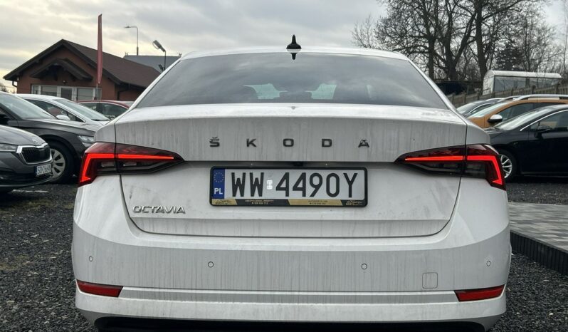 SKODA Octavia  | przedni | Manualna | 150 KM | bialy full