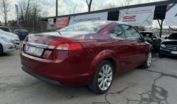 FORD Focus  | FWD (przód) | Manualna | 145 KM | Czerwony full