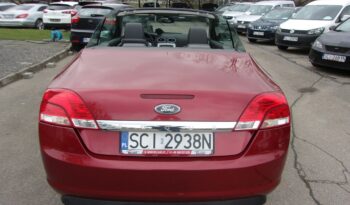 FORD Focus  | FWD (przód) | Manualna | 145 KM | Czerwony full