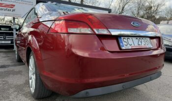 FORD Focus  | FWD (przód) | Manualna | 145 KM | Czerwony full