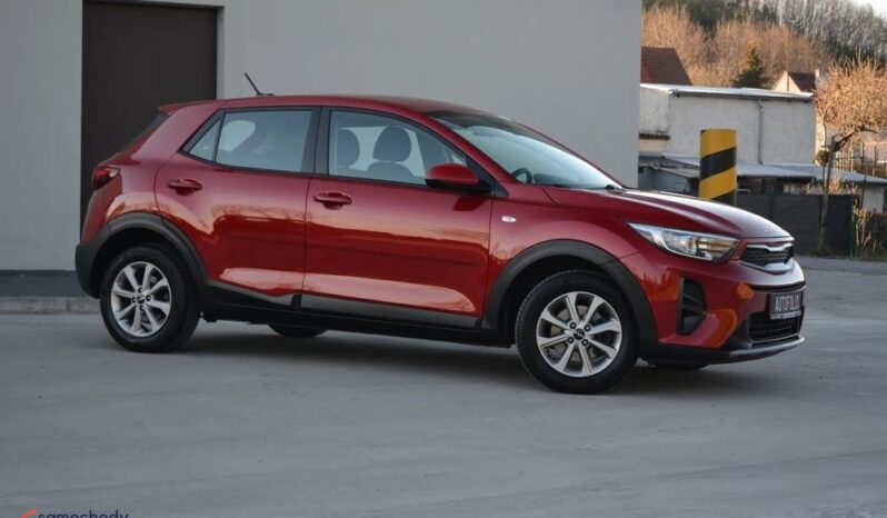 KIA Stonic  | FWD (przód) | Manualna | 84 KM | Bordowy full