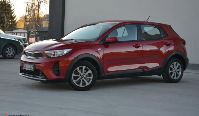 KIA Stonic  | FWD (przód) | Manualna | 84 KM | Bordowy full
