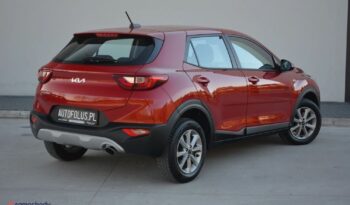 KIA Stonic  | FWD (przód) | Manualna | 84 KM | Bordowy full