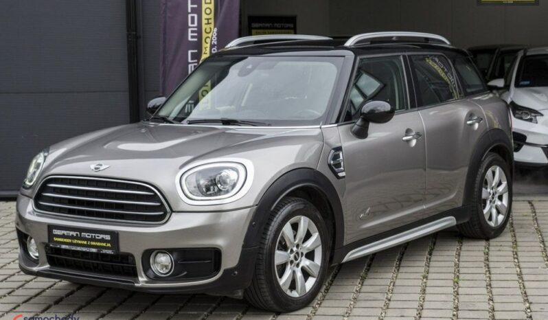 Mini Countryman  | 4×4 (stały) | Automatyczna | 136 KM | Szary full
