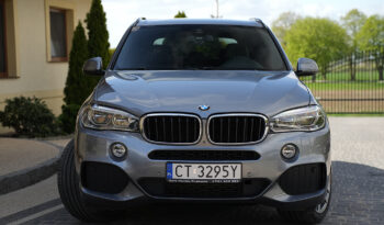 Bmw X5  | 4X4 (Stały) | Automatyczna | 231 Km | Szary