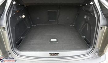 PEUGEOT 3008  | FWD (przód) | Manualna | 130 KM | Zielony full