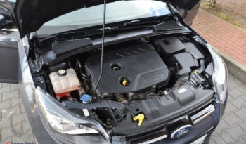 FORD Focus  | FWD (przód) | Manualna | 95 KM | Inny kolor full