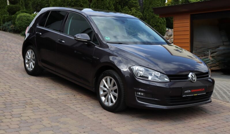 VOLKSWAGEN Golf  | 2015 | 150 KM | 1968cm3 | Szary full