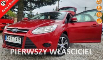 Ford Focus  | Fwd (Przód) | Manualna | 105 Km | Bordowy