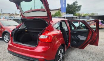 FORD Focus  | FWD (przód) | Manualna | 105 KM | Bordowy full
