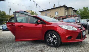 FORD Focus  | FWD (przód) | Manualna | 105 KM | Bordowy full