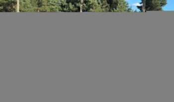 CHEVROLET Captiva  | FWD (przód) | Manualna | 167 KM | Szary full