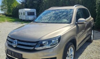VOLKSWAGEN Tiguan  | FWD (przód) | Manualna | 110 KM | Złoty full