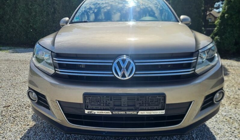 VOLKSWAGEN Tiguan  | FWD (przód) | Manualna | 110 KM | Złoty full