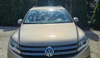 VOLKSWAGEN Tiguan  | FWD (przód) | Manualna | 110 KM | Złoty full