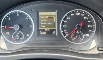 VOLKSWAGEN Tiguan  | FWD (przód) | Manualna | 110 KM | Złoty full