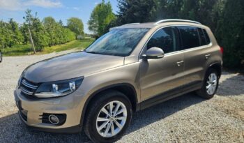 VOLKSWAGEN Tiguan  | FWD (przód) | Manualna | 110 KM | Złoty full