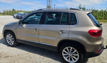 VOLKSWAGEN Tiguan  | FWD (przód) | Manualna | 110 KM | Złoty full