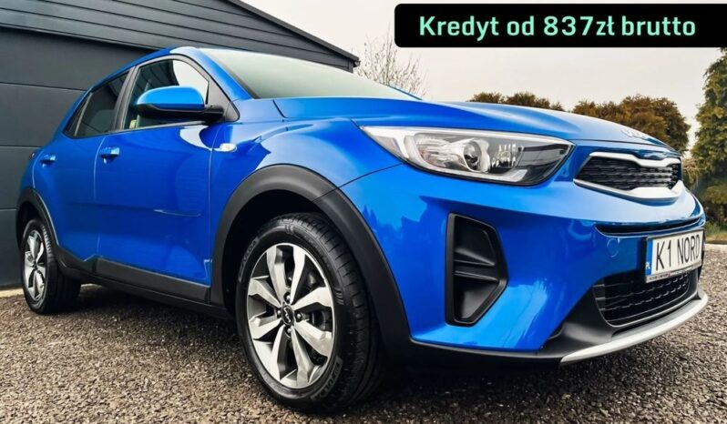 Kia Stonic  | Fwd (Przód) | Manualna | 100 Km | Niebieski